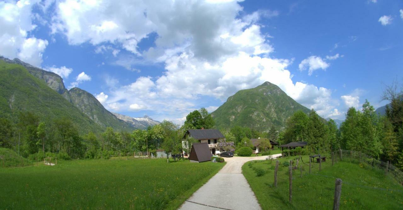 Apartma Bel Zaga Exteriör bild