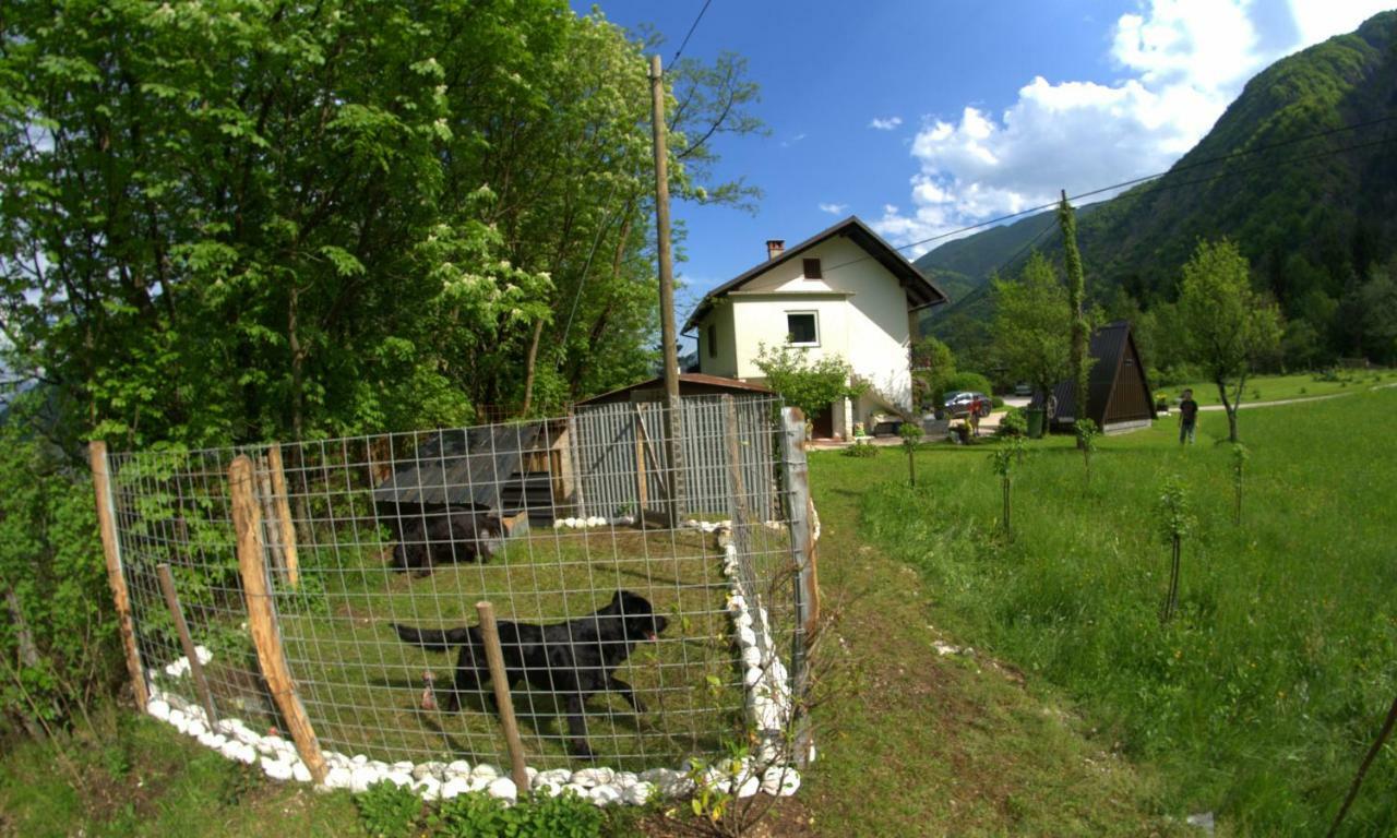 Apartma Bel Zaga Exteriör bild